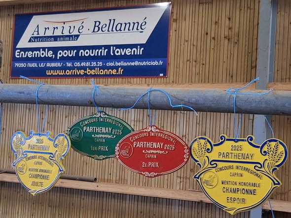 Concours ovins, bovins, caprins