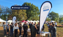 Elevage en scène