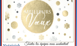 Voeux 2023 Voeux 2023