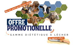 Offre promotionnelle