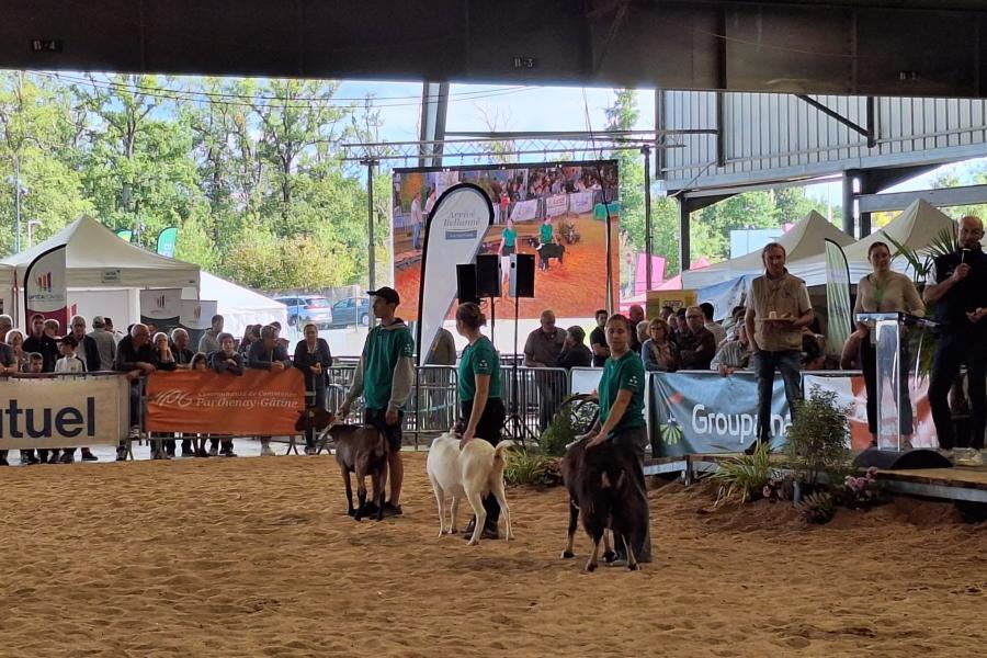 Concours caprins