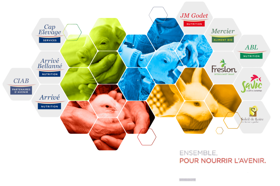 Alvéole du groupe Nutriciab Ensemble pour nourrir l'avenir