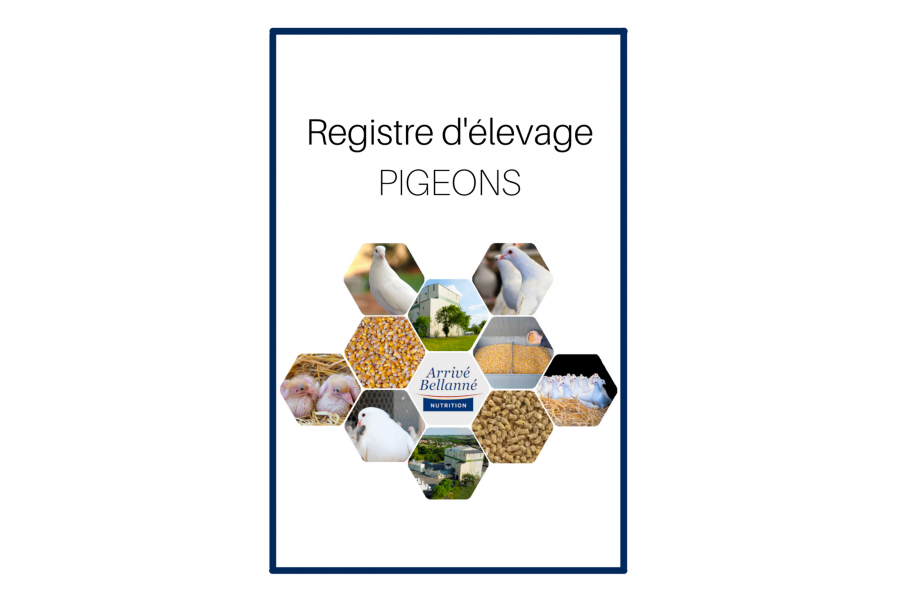 registre pigeons