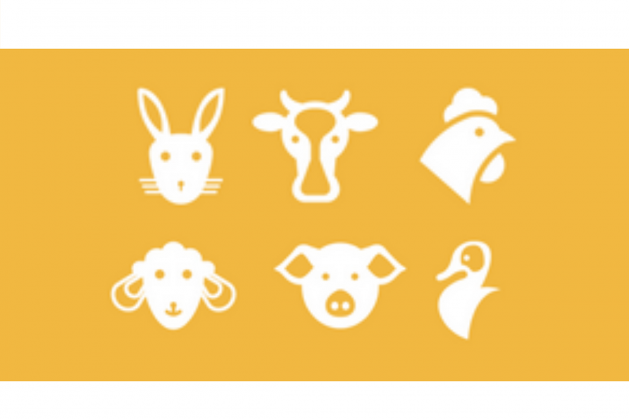 Dessins de lapin, vache, poule, mouton, cochon et canard