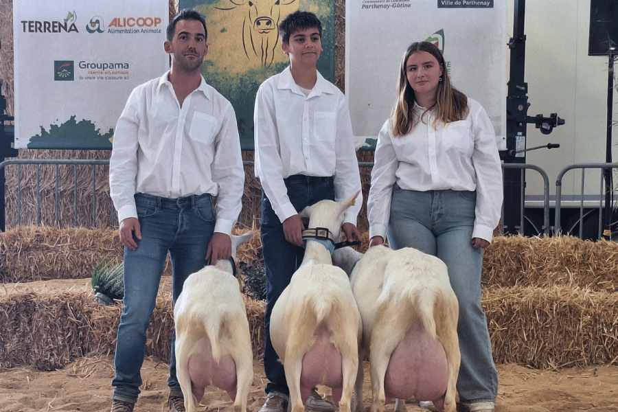 Concours caprins