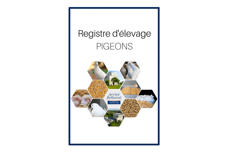 Registre pigeons d'élevage de l'entreprise Arrivé Bellanné