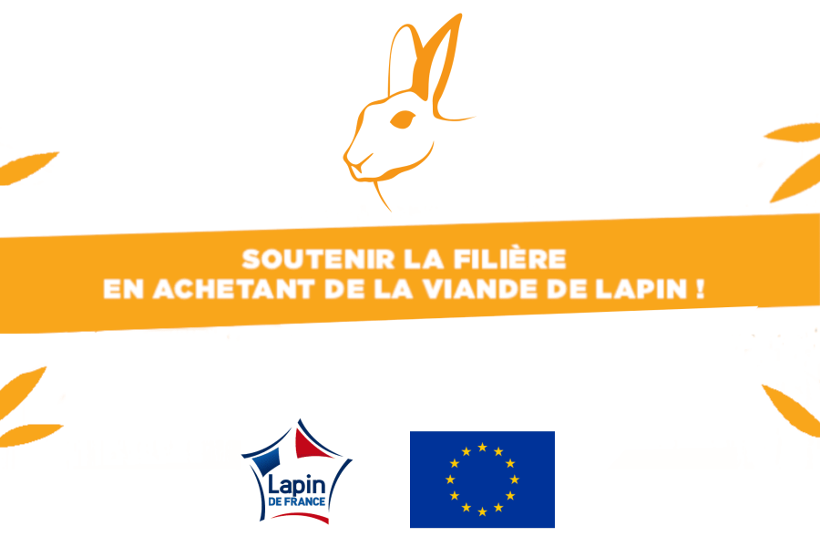 Interprofession lapin