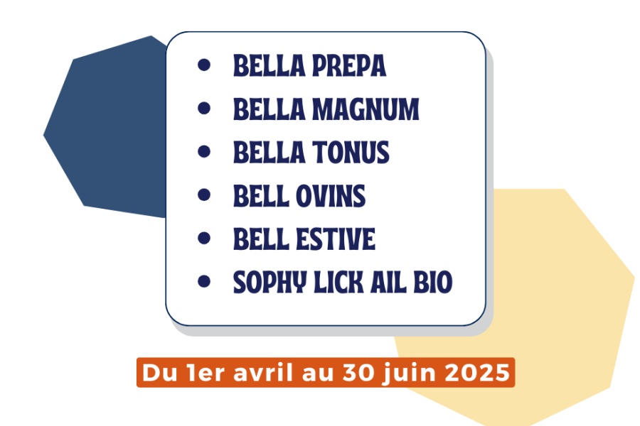 Gamme seaux