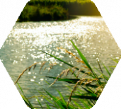 Rivière Rivière