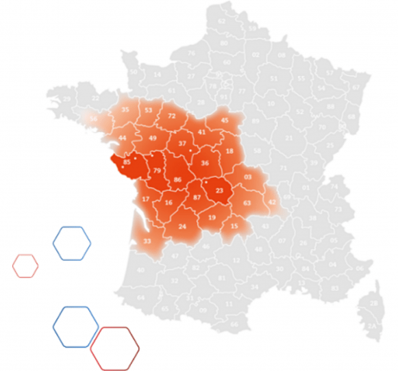 Zones d'activités d'Arrivé Bellanné carte de France qui met en évidence les zones où l'entreprise Arrivé Bellanné exerce ses activités